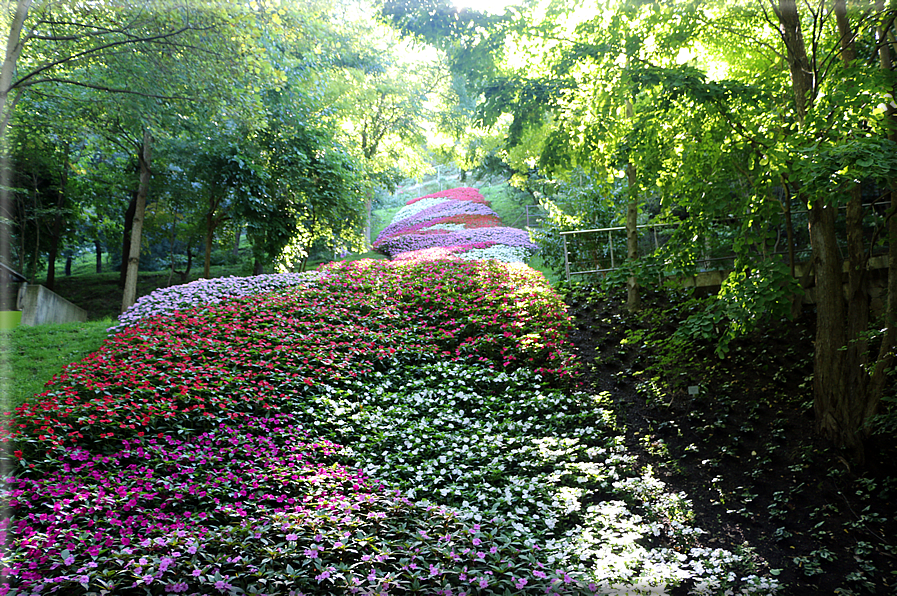 foto Giardini Trauttmansdorff - Boschi del Mondo